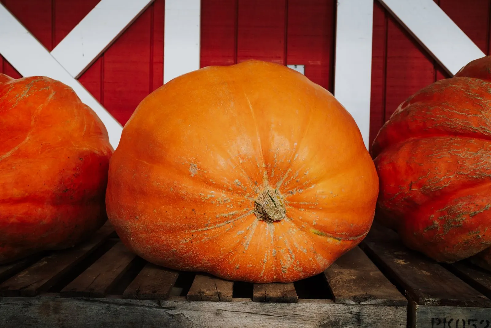 Simple Ways to Decorate with Fall Pumpkins